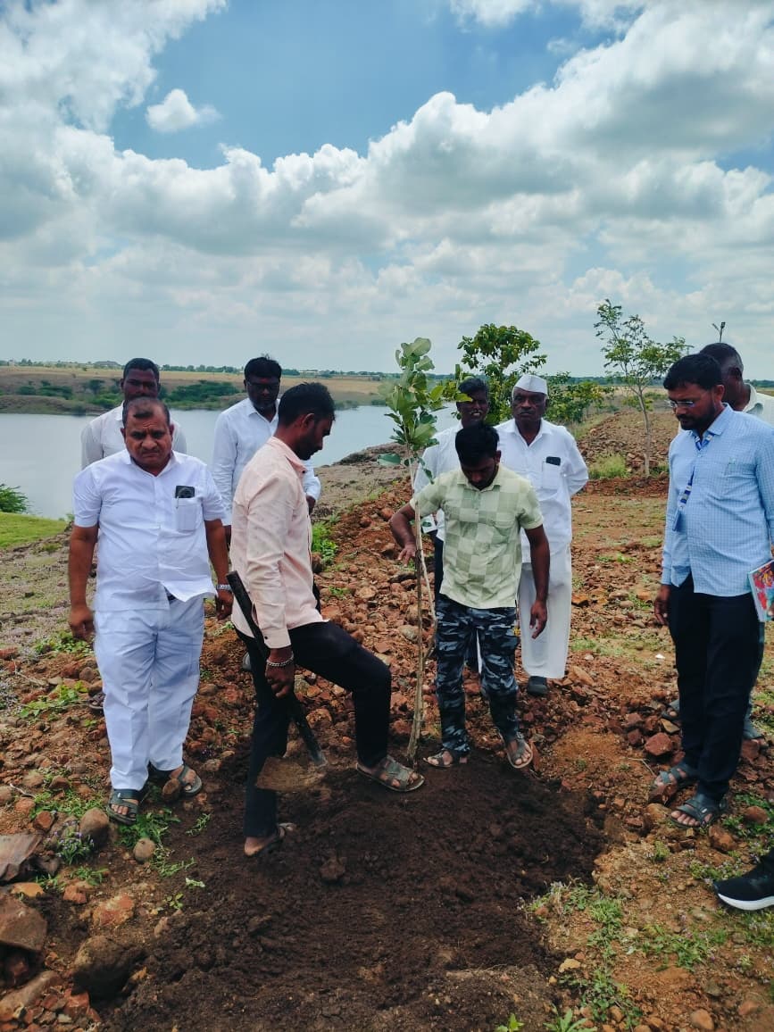 “मुख्यमंत्री समृद्ध पंचायतराज अभियान अंतर्गत वृक्षारोपण