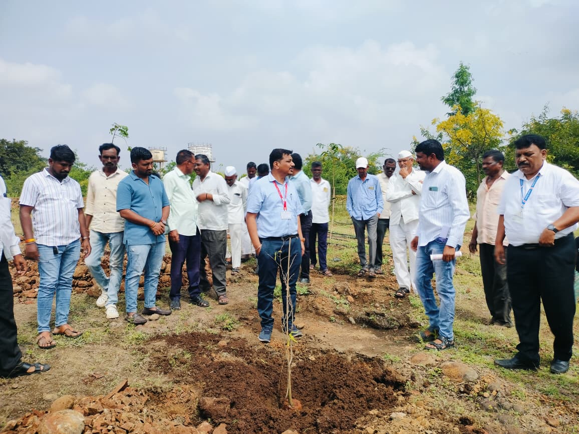ग्रामपंचायत परिसर वृक्षारोपण